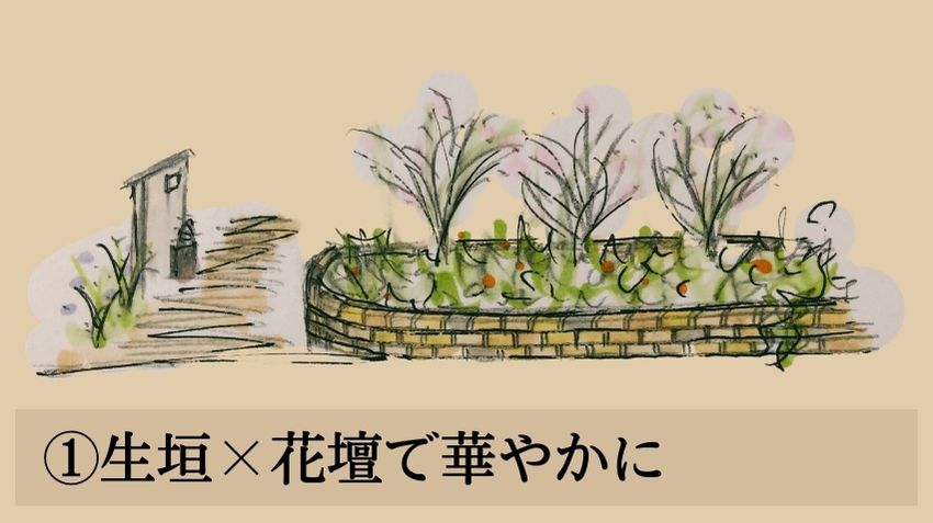 シルバープリペットのデザインアイデア①生垣×花壇で華やかに