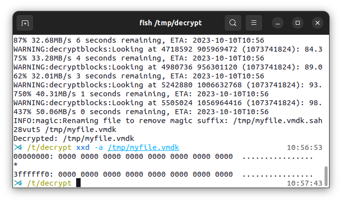 The file successfully decrypted