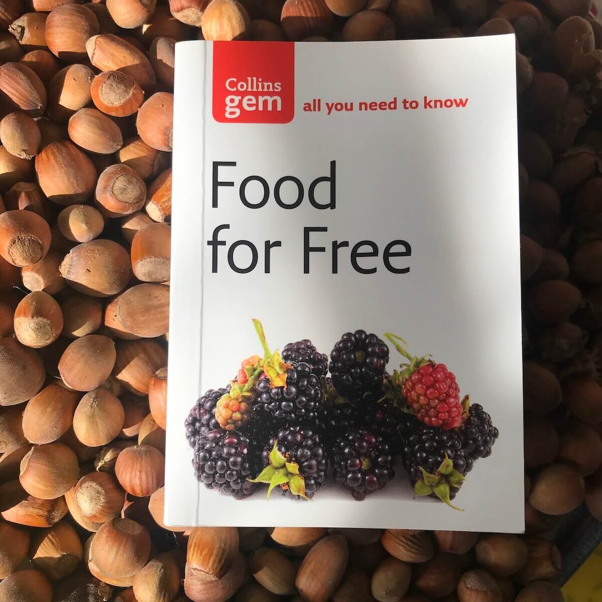 food for free gaelle chassery.jpg