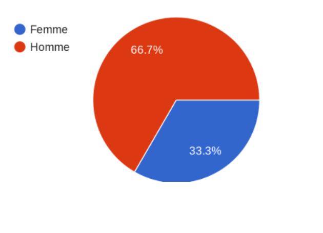 Participation enregistrée par Genre
