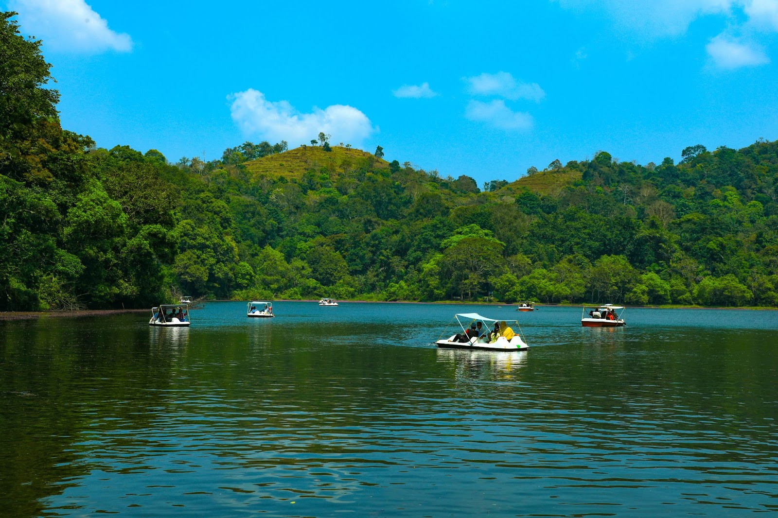 Pookode Lake