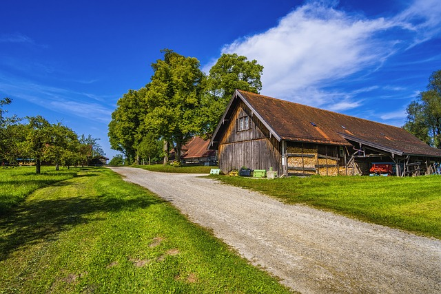 farm yard and barn