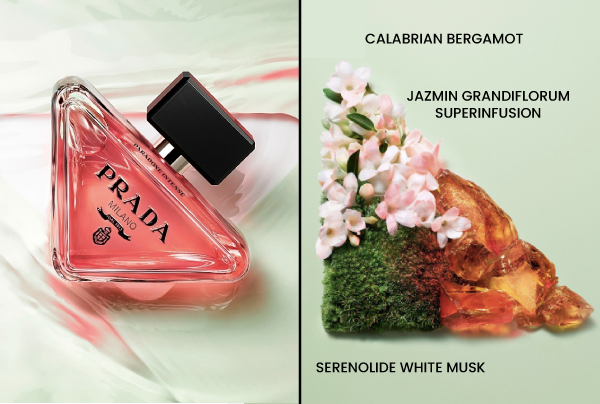 Best Pheromone Perfume for Ladies
