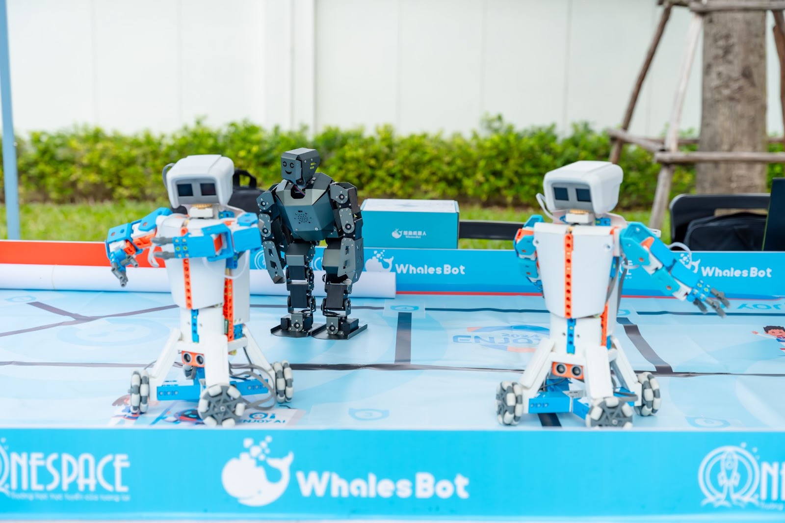 Trải nghiệm khám phá cùng Robot WhalesBot