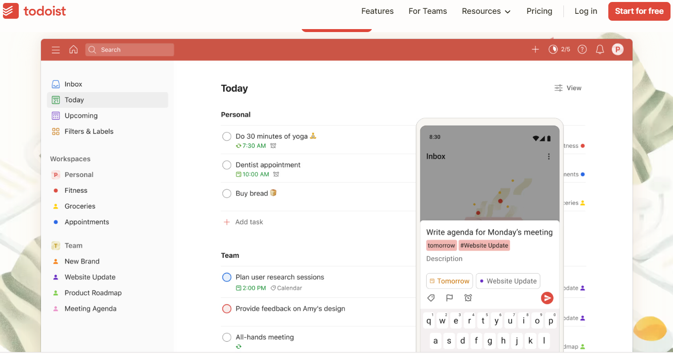 Todoist Features