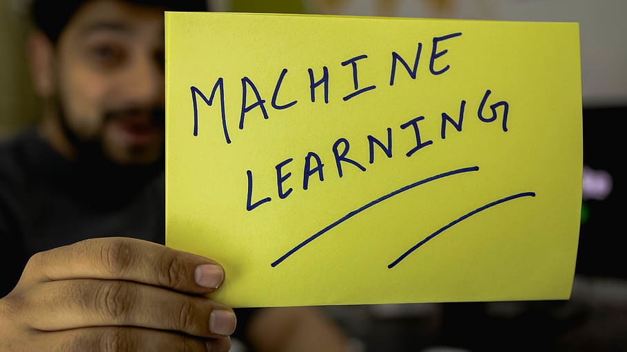 Machine Learning Algorithms For Beginners