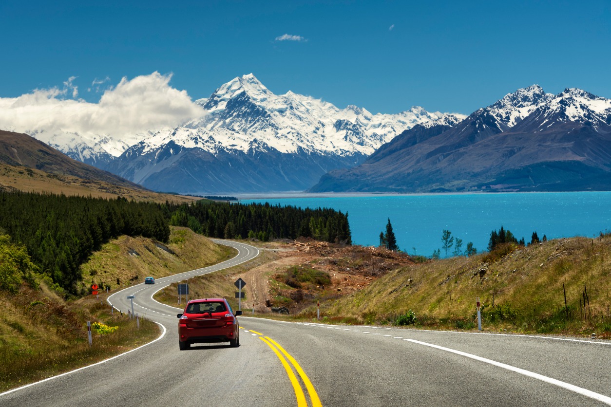 Road Trip Revelations Unveiled