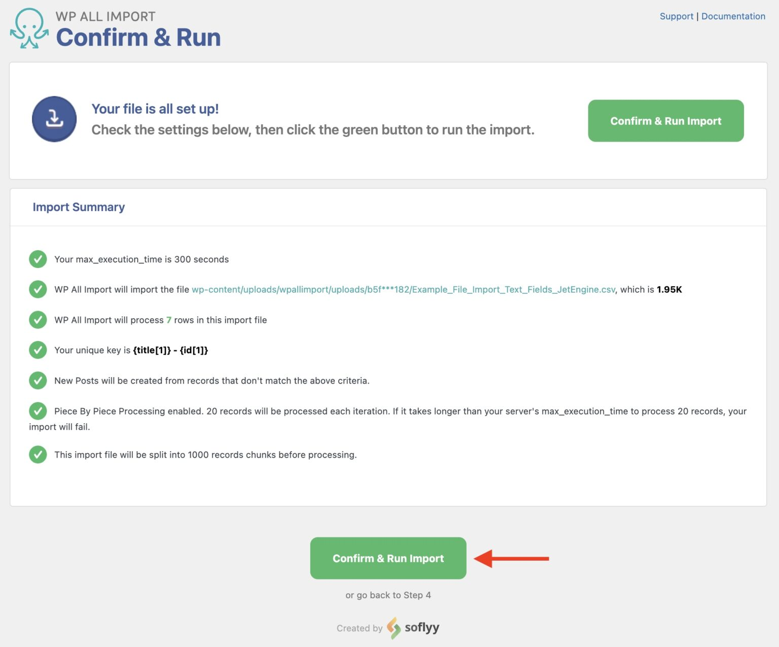 Importing Data into JetEngine Custom Fields - Confirm and Run