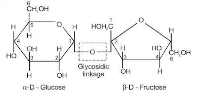 Biomolecules Chemistry Class 12 Notes