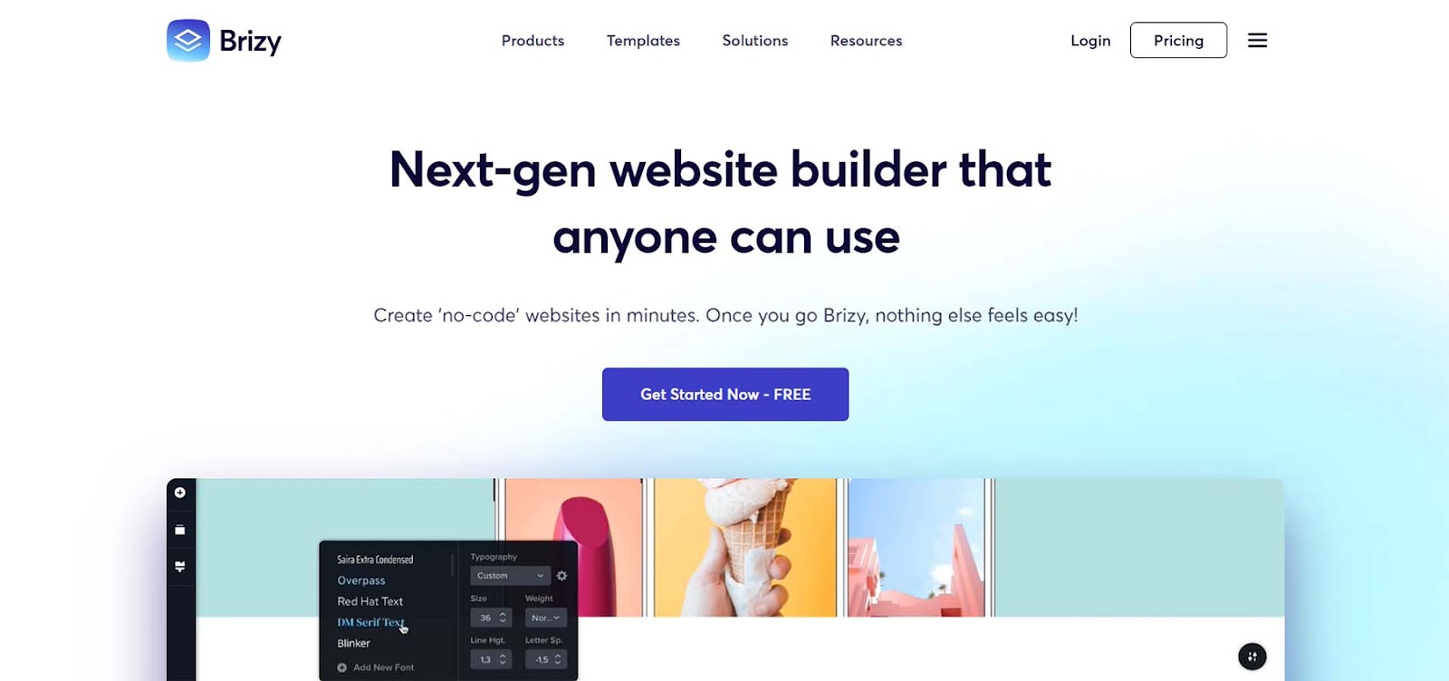 Brizy Page Builder