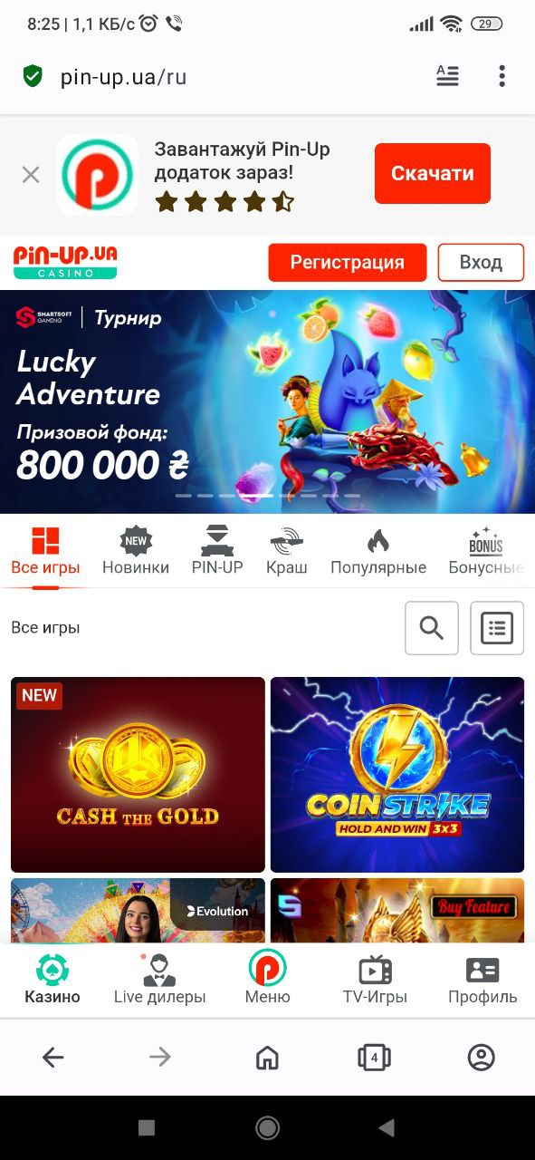 pin up скачать бесплатно на андроид win