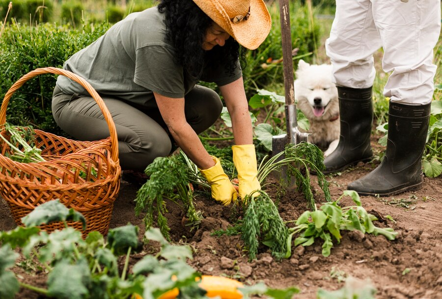 Eco-friendly Gardening and Landscaping