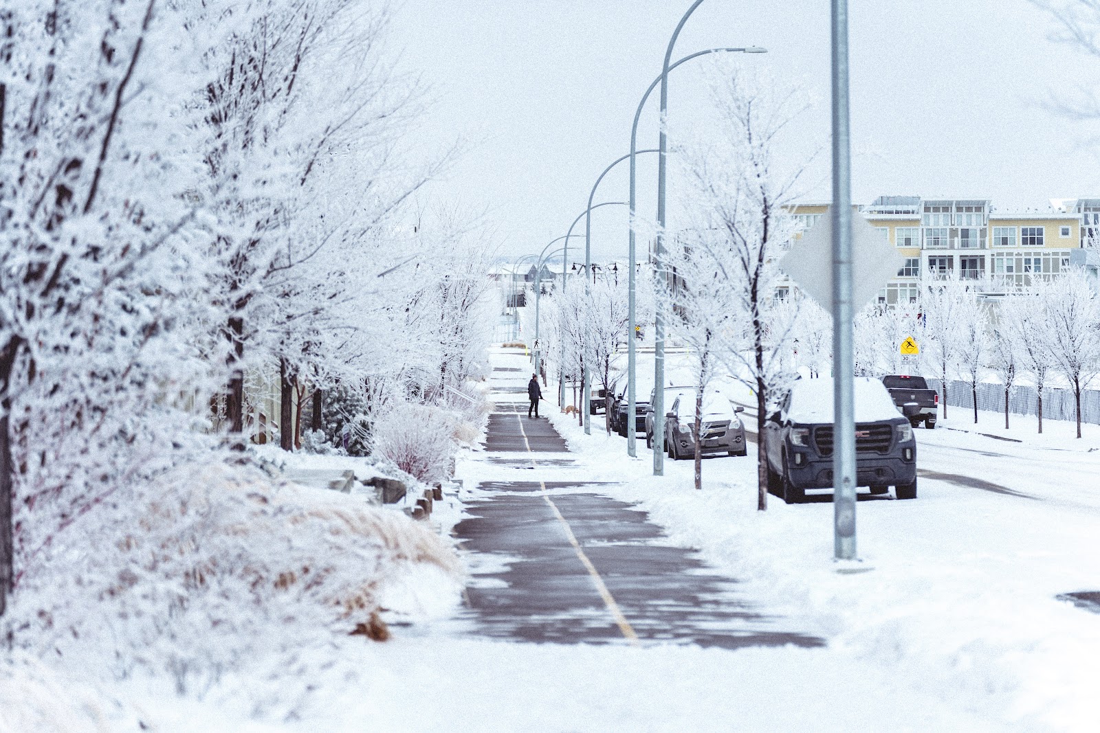 Snow-covered roads in Alberta