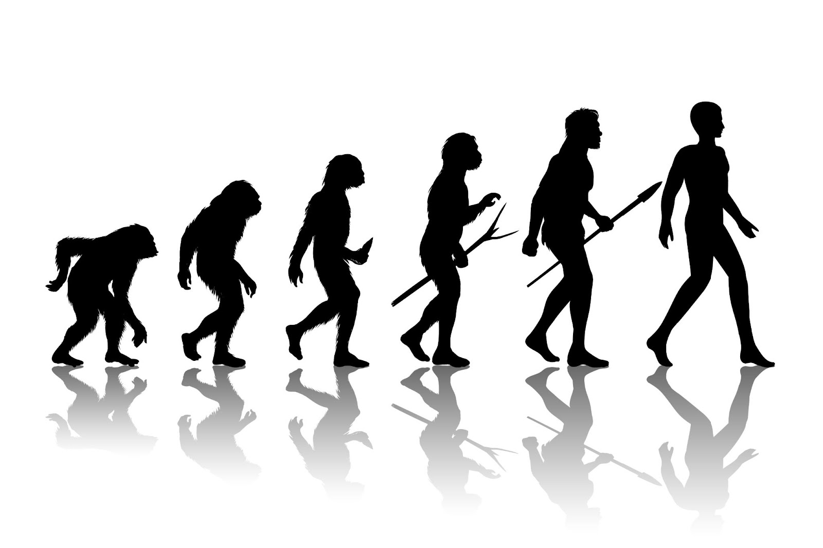 Relazione evolutiva con gli esseri umani