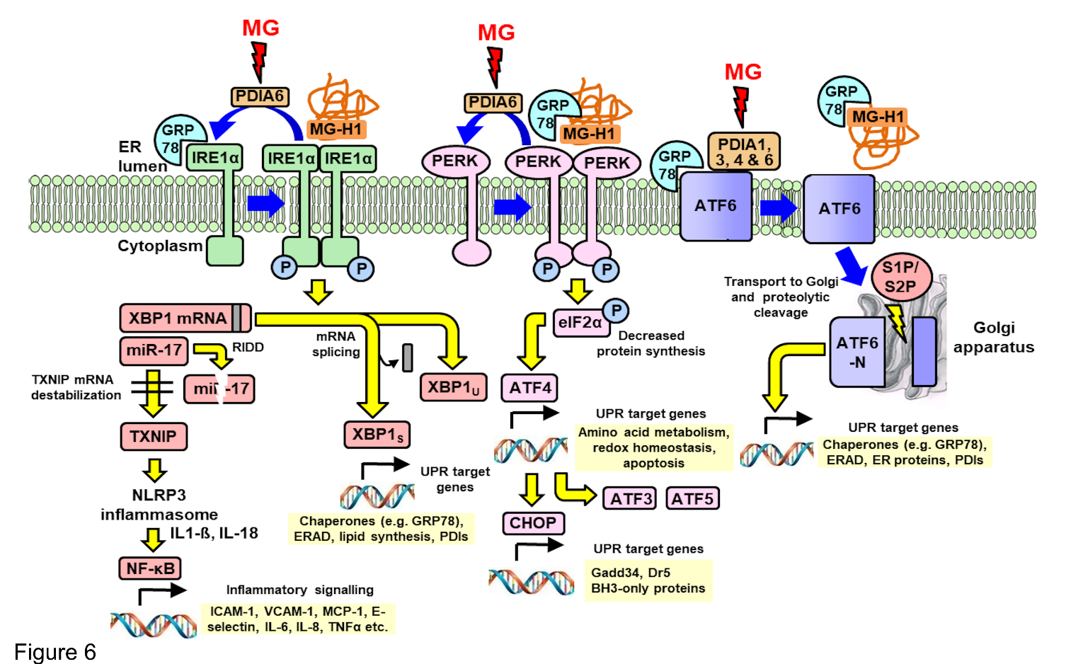 A diagram of a process

Description automatically generated