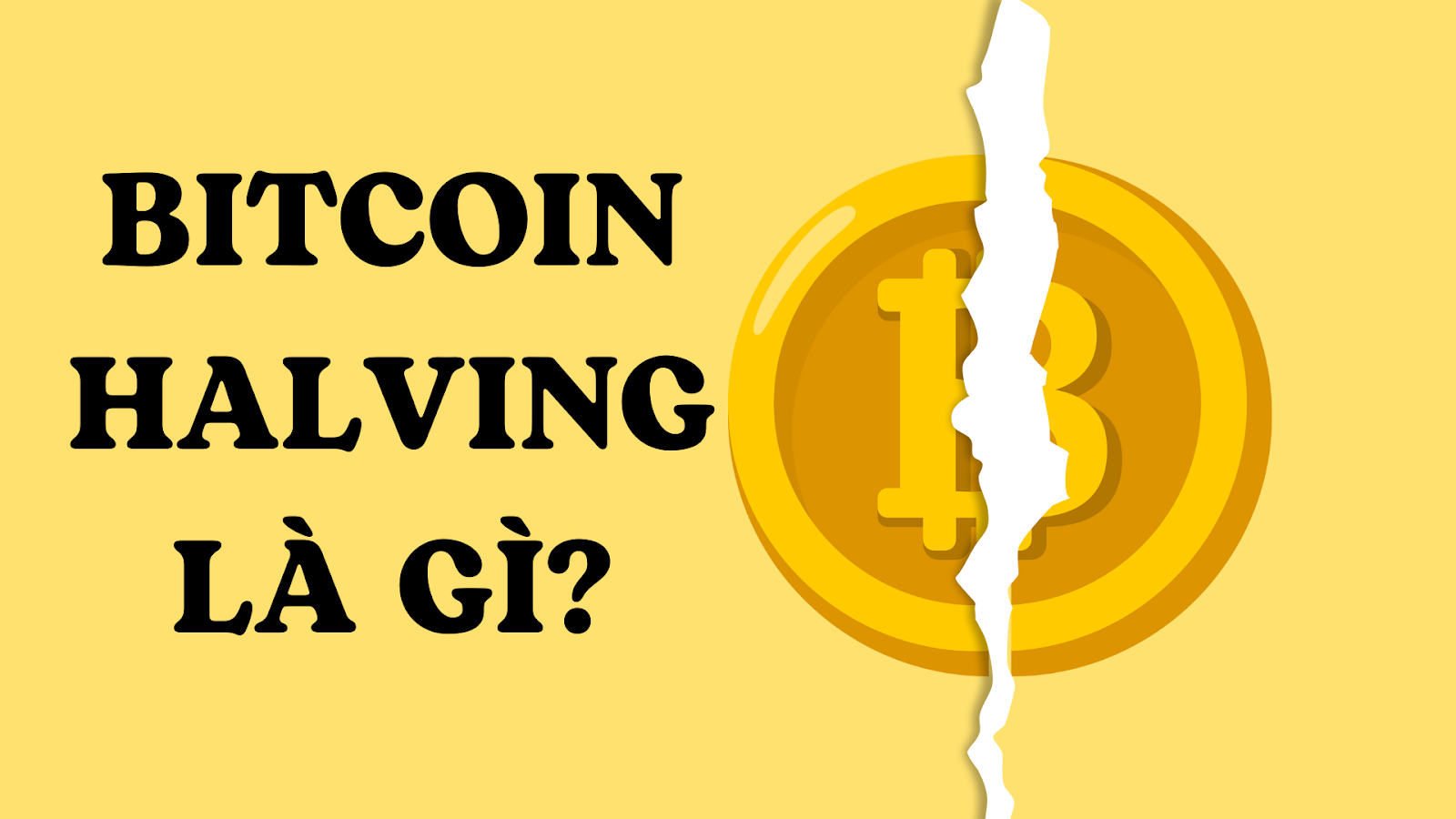 Chu Kỳ Bitcoin Halving: Sự Kiện Định Hình Tương Lai Crypto