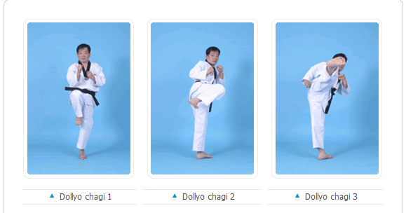 Techniques in Taekwondo - Turning Kick (Dollyo Chagi)