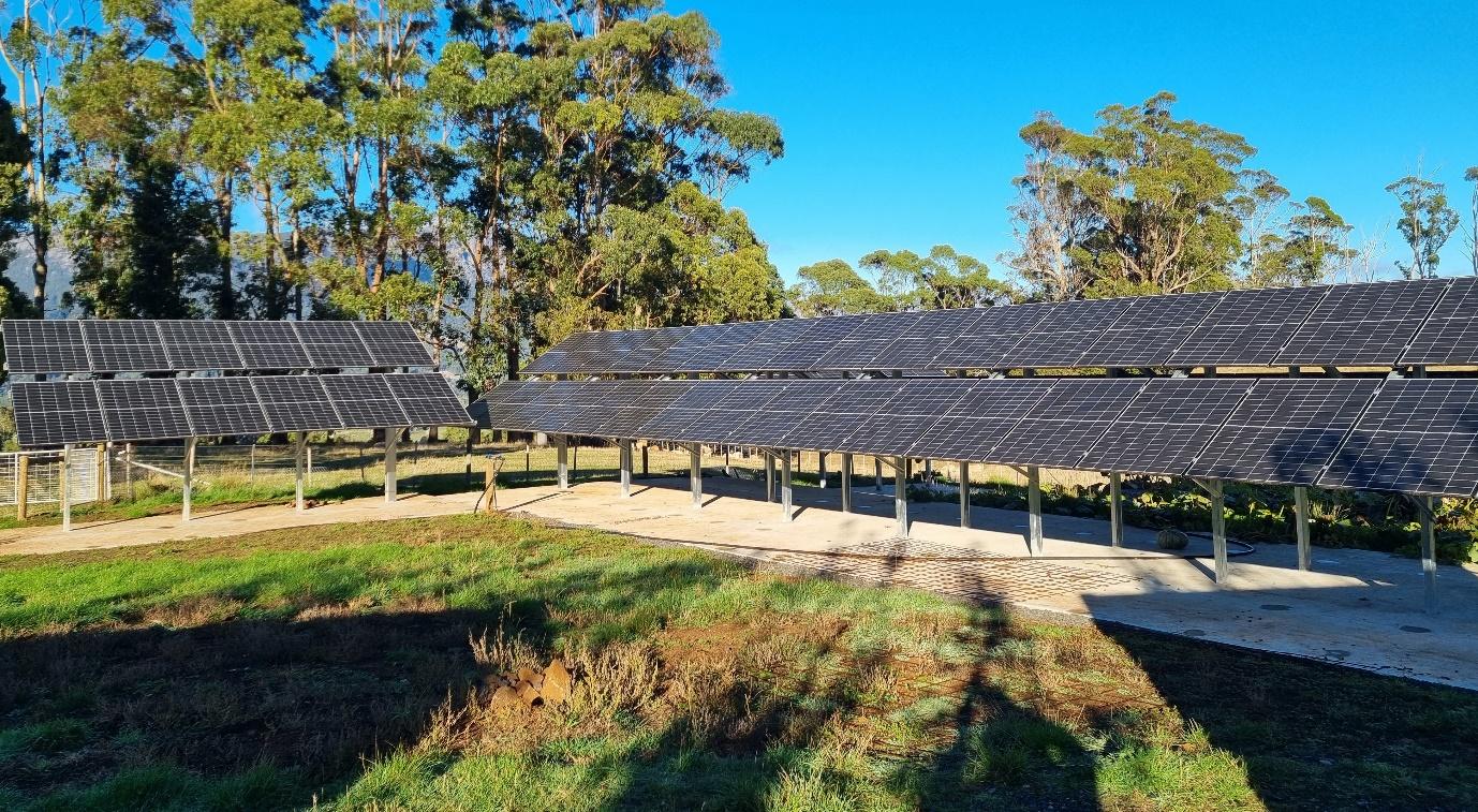 A solar panels in a field

Description automatically generated