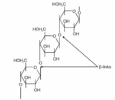 Biomolecules Chemistry Class 12 Notes