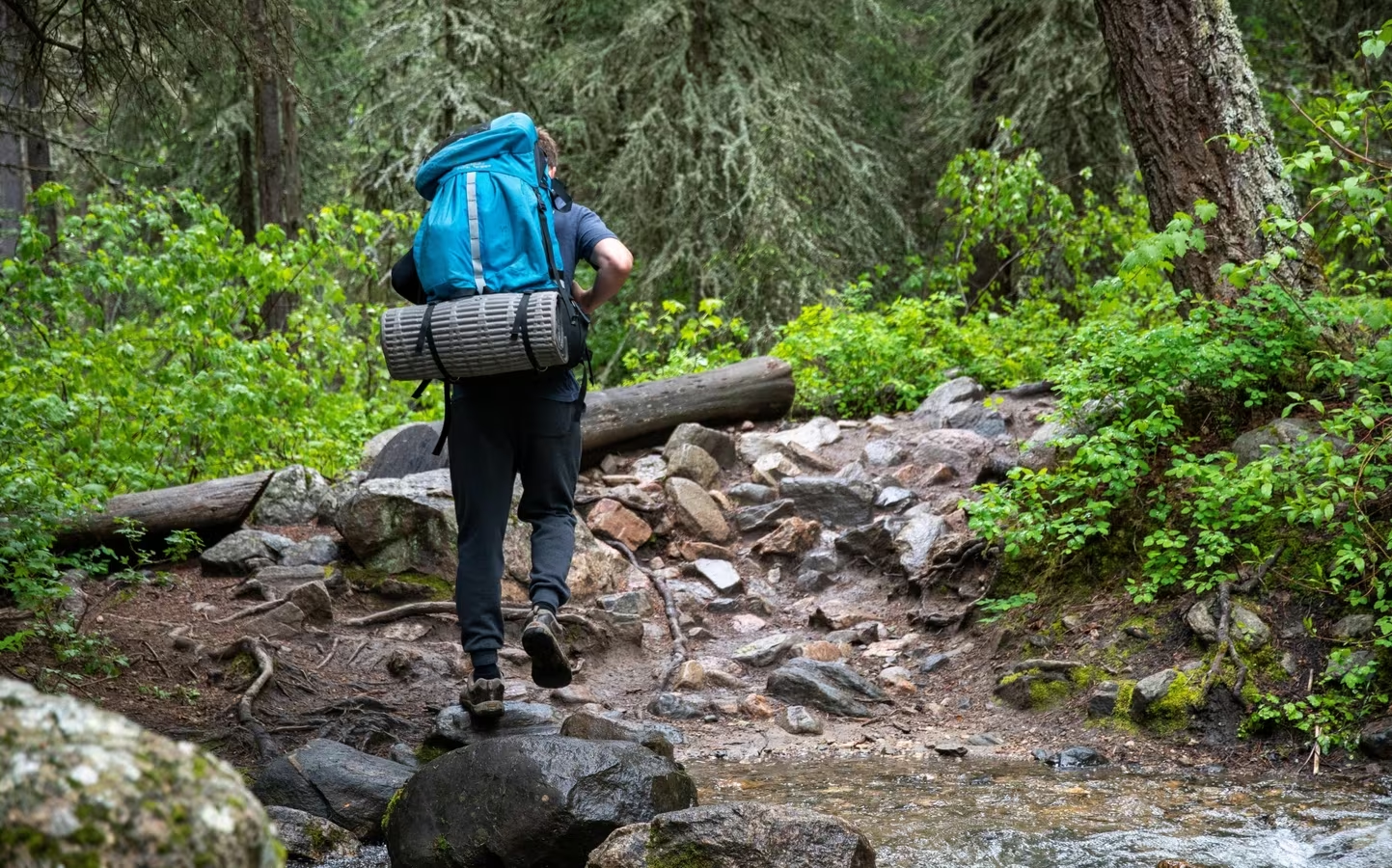 Natures Exploration Outdoor Adventures