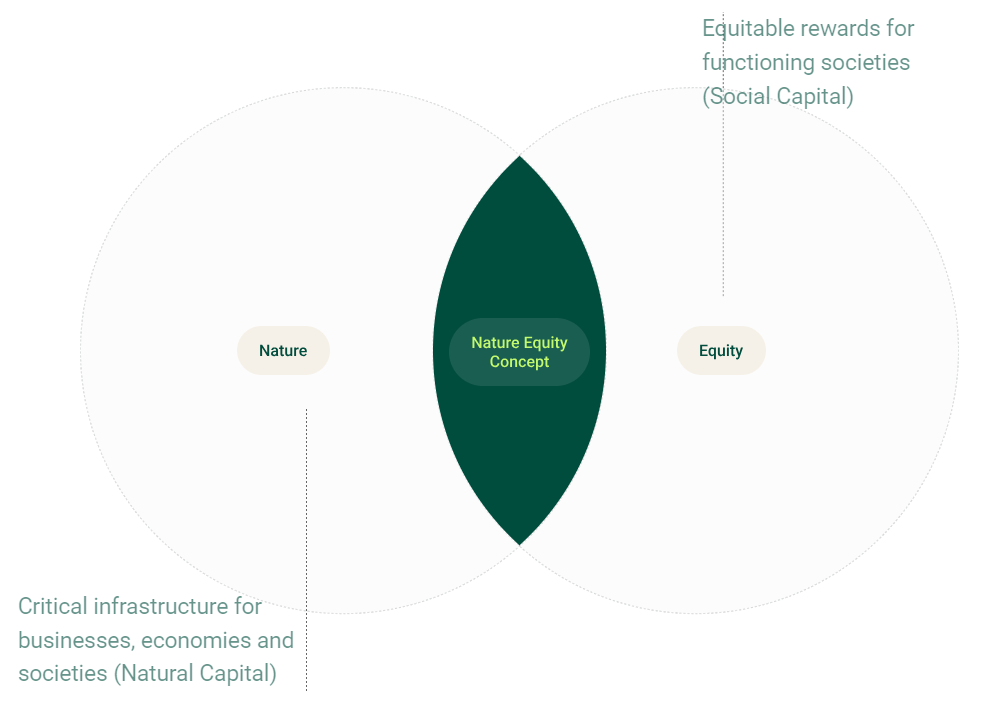 Unlocking Africa's Agricultural Potential with Web3 and Regenerative Finance 🌿 🌻