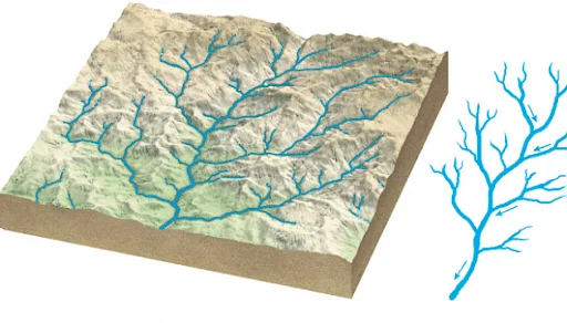 DENDRITIC DRAINAGE PATTERN