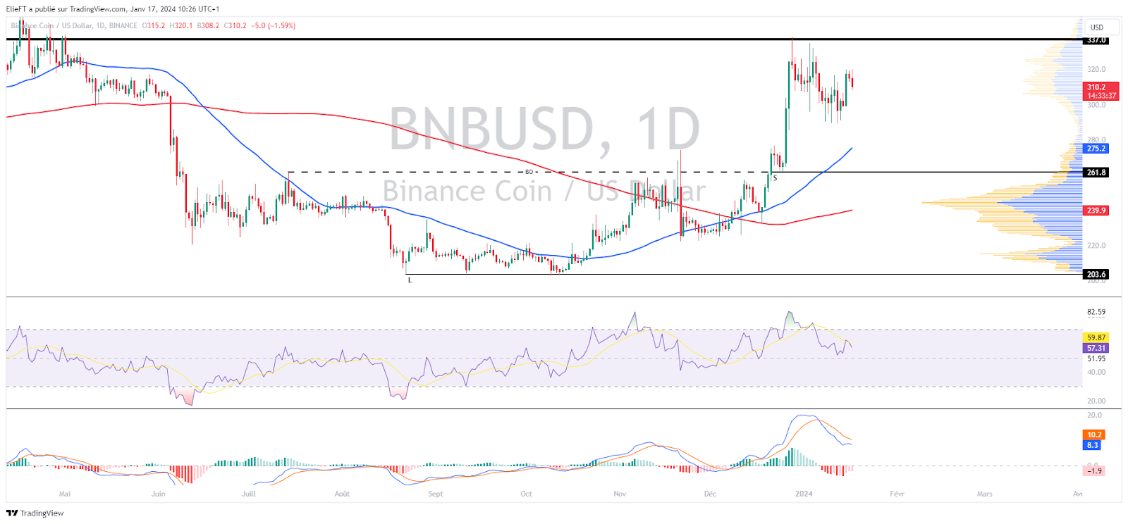 BNB/USD daily chart