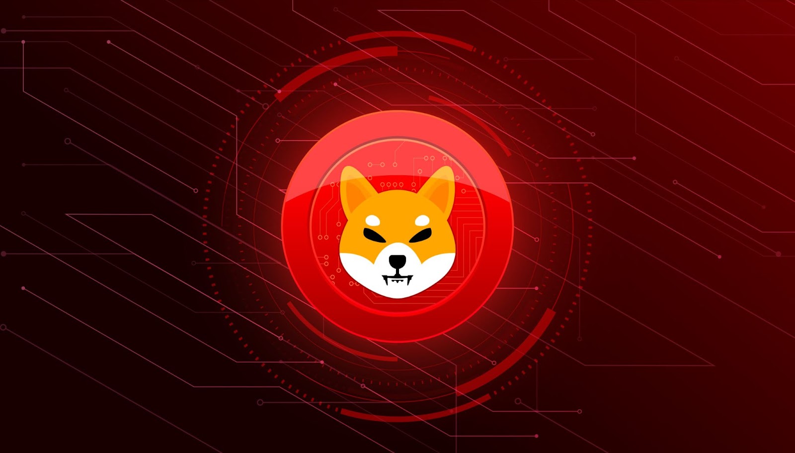 Shiba Inu Token VIsual