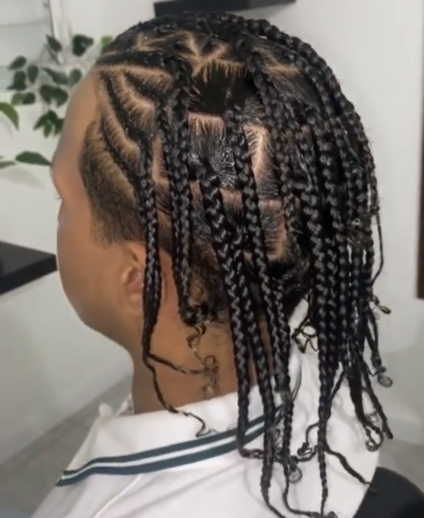 49. Fulani Braids with Extensions