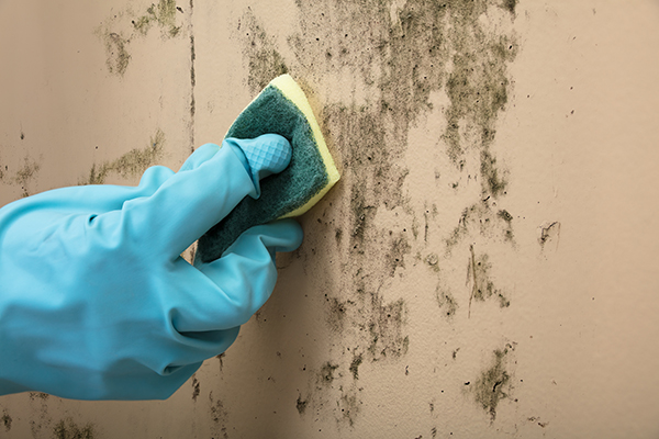 How to Clean Walls Without Damaging Your Paint