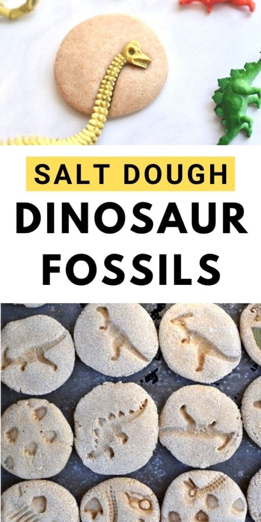 Salt dough dinosaur fossils craft for kids
