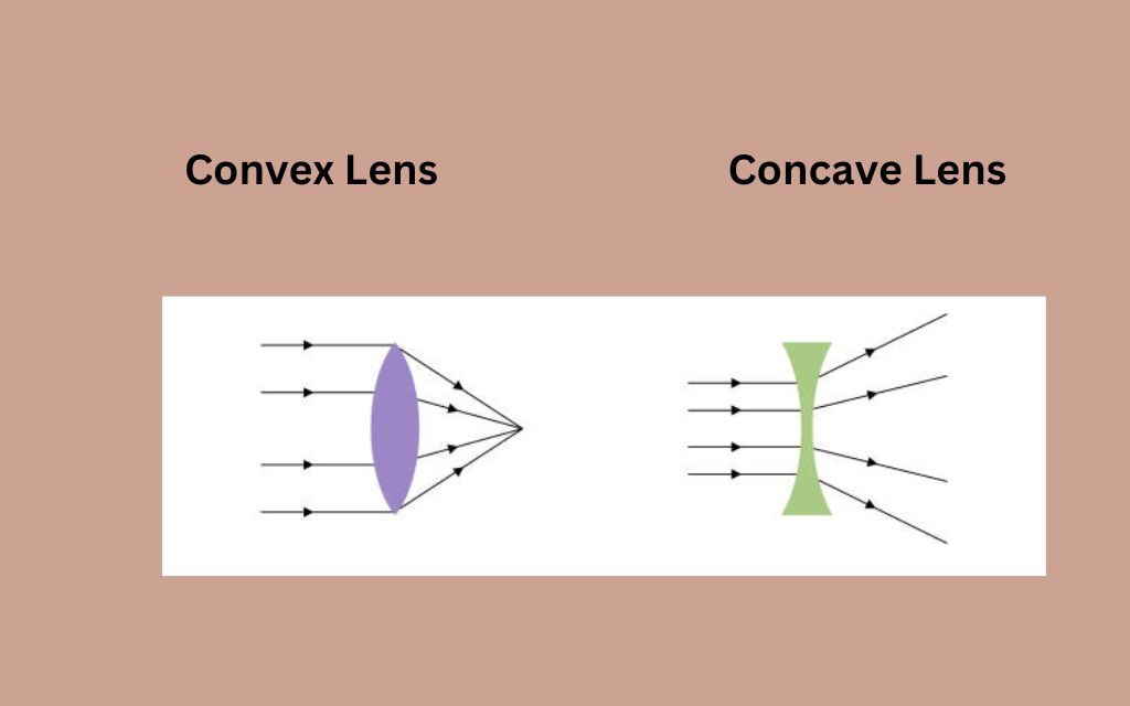 NCERT Class 7 Science Chapter 11 Light: Convex and Concave lens