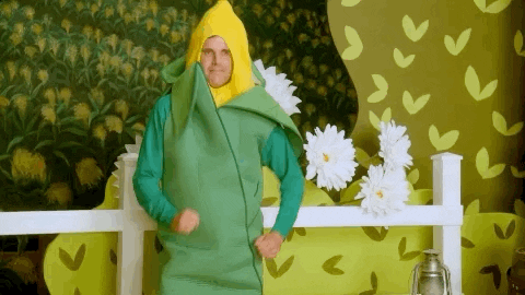 Funny Person in the Costume of Corn