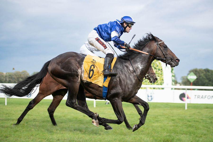 A jockey riding a horse  Description automatically generated