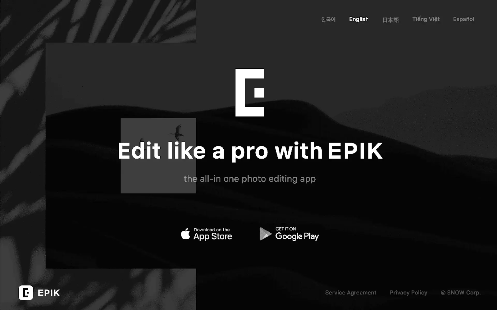 Key features of Epik