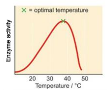 Gráfico

Descripción generada automáticamente