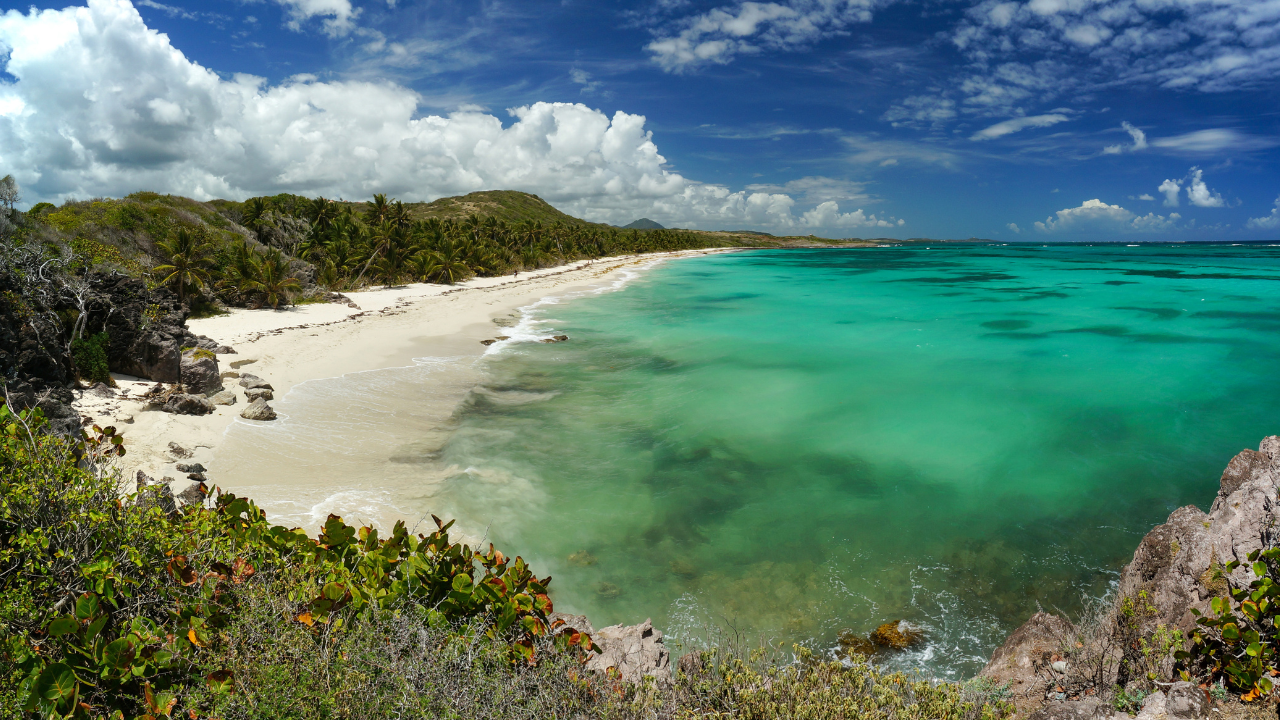 plage martinique ou guadeloupe