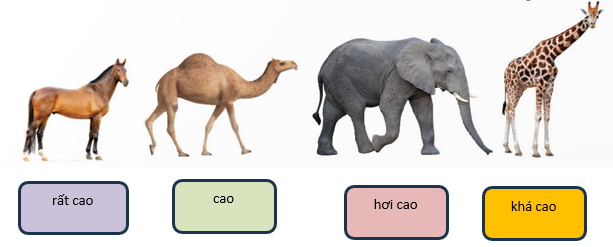 A camel and elephant walking

Description automatically generated