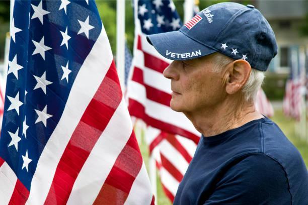 United States Veteran among American Flags United States Veteran standing with American Flag display in a town park. patriotic hats stock pictures, royalty-free photos & images