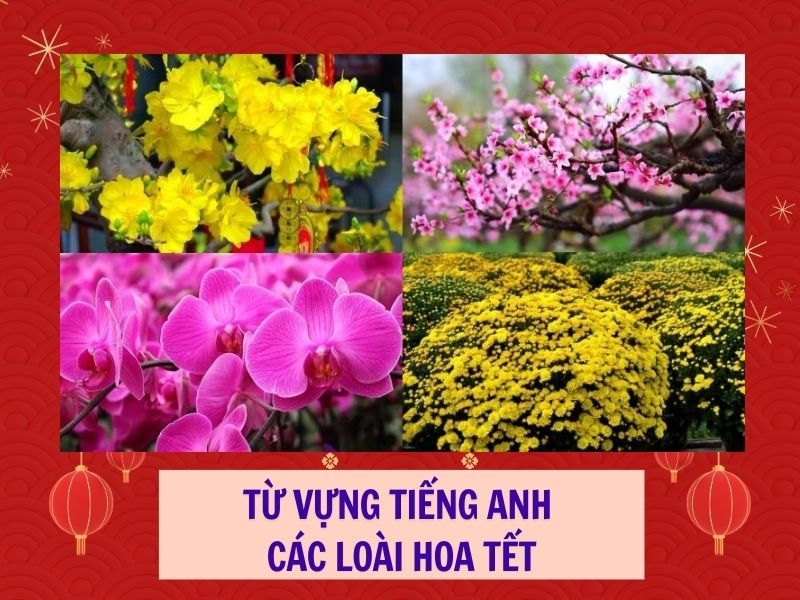 từ vựng tiếng Anh về Tết 