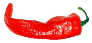 Large_Cayenne