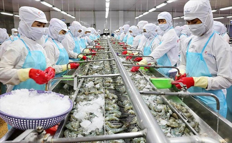 Tỉnh Trà Vinh rất phát triển ngành nghề thuỷ - hải sản
