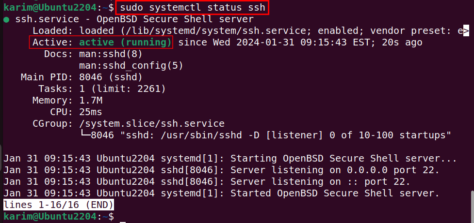 sudo systemctl status ssh