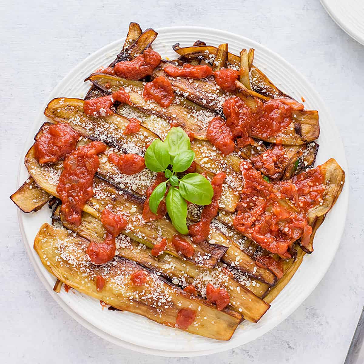 tomato and eggplant recipe