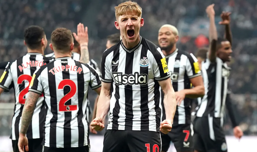 Các cầu thủ trẻ của Newcastle sẽ được trao cơ hội