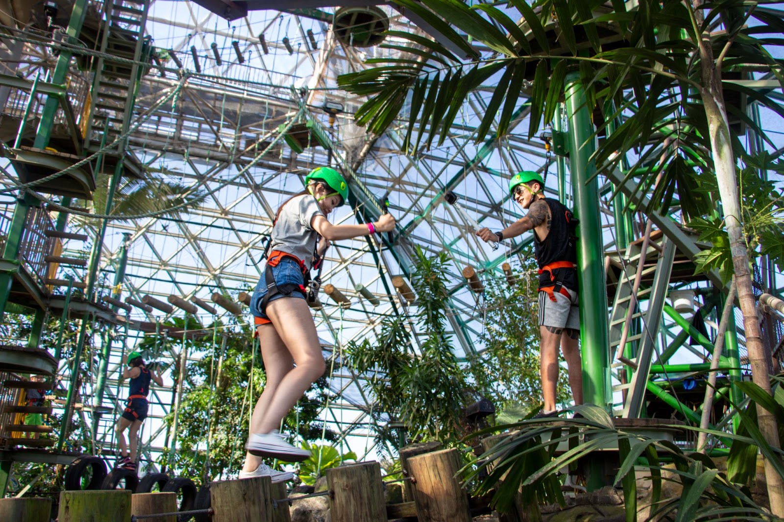 Cairns ZOOM and Wildlife Dome