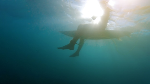 Dive Into Dramatic Brilliance