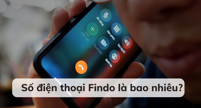 số điện thoại findo