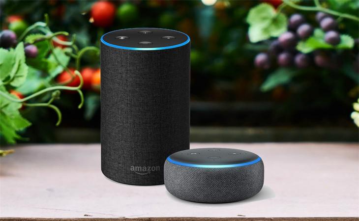 5 công dụng bất ngờ của loa thông minh Amazon Echo