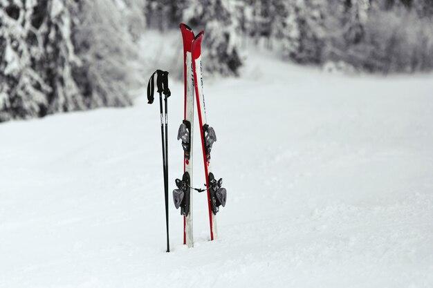 Free photo red and white skis put in the snow in forest